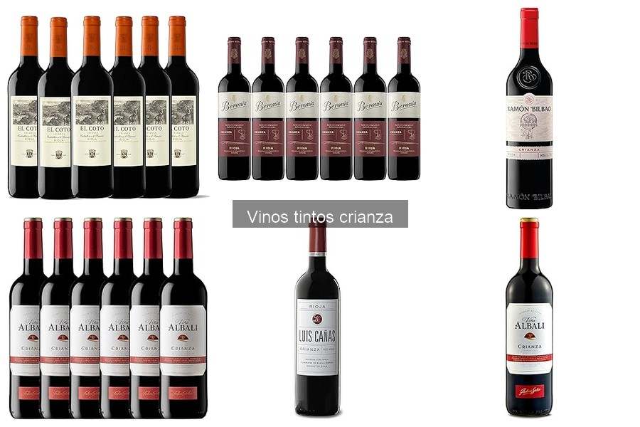 Recetas innovadoras de cócteles con vino tinto crianza
