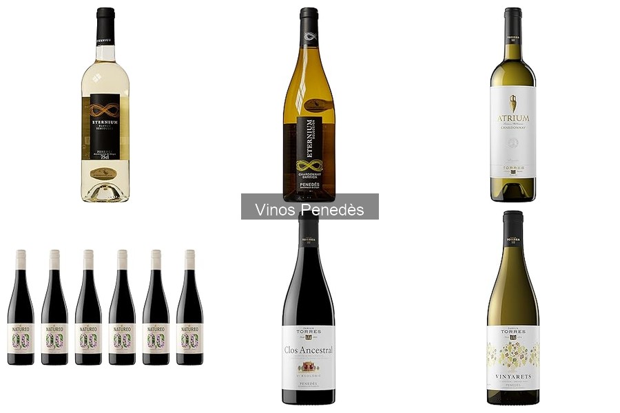 Recomienda Perfectamente Catas de Vinos Penedès