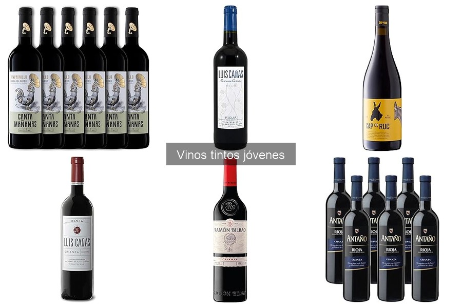 ¿Son los Vinos Tintos Jóvenes la Mejor Opción para Fiestas?