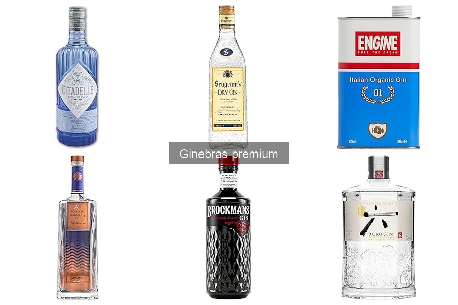 Tendencias Actuales en Ginebras Premium: Innovaciones y Marcas
