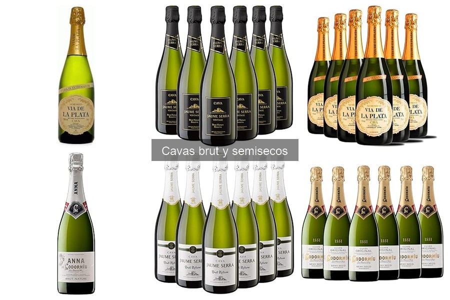 Tipos de Cavas Brut y Semisecos: Conoce sus Características