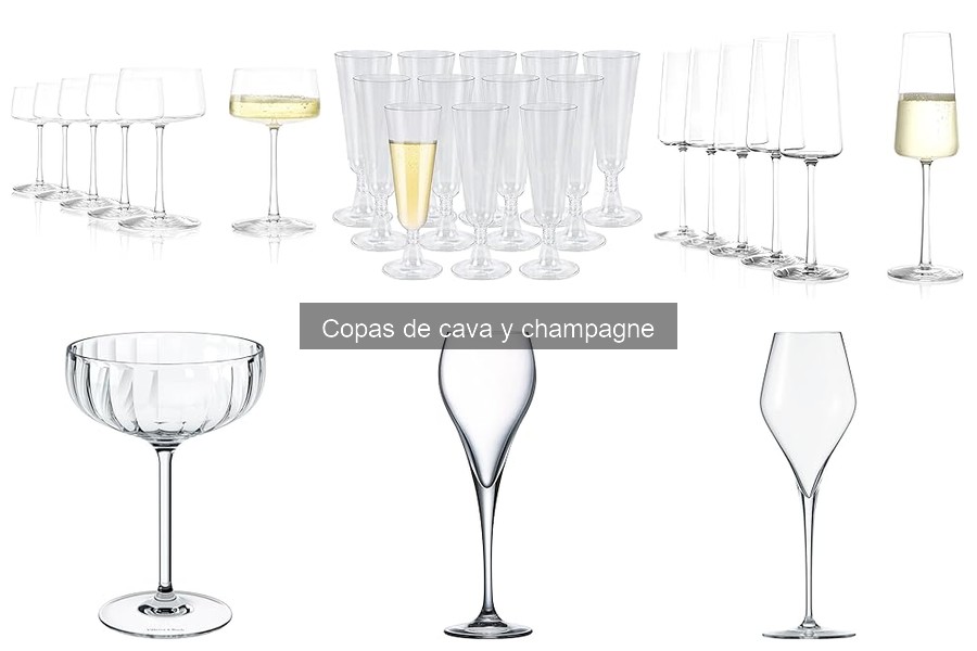 Tipos de Copas de Cava y Champagne: Guía Completa