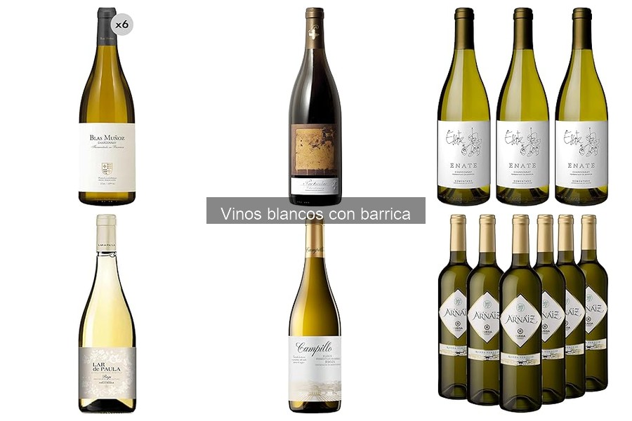 Tipos de vinos blancos con barrica: guía de estilos y variedades