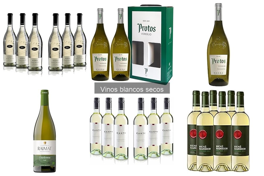 Tipos de vinos blancos secos y sus características