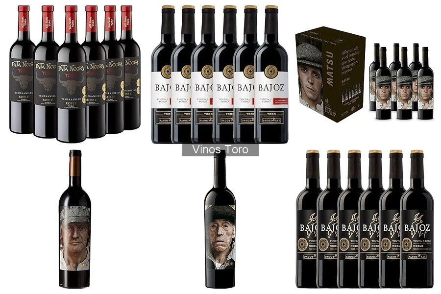 Variedades de uva de los vinos Toro: guía informativa