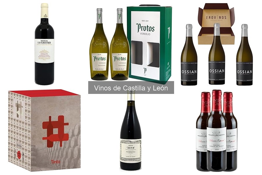 Variedades de uva en los vinos de Castilla y León