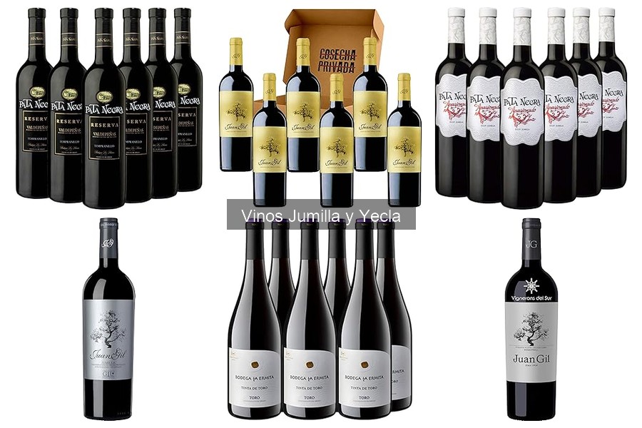 Variedades de Vinos Tintos de Jumilla: Descubre sus Estilos