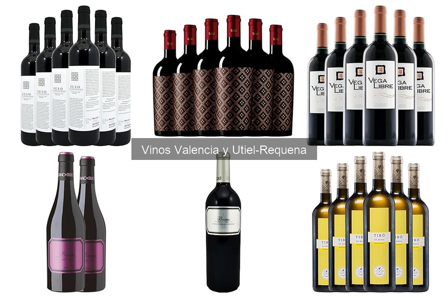 Ventajas de Elegir Vinos de Valencia: Calidad y Sabor