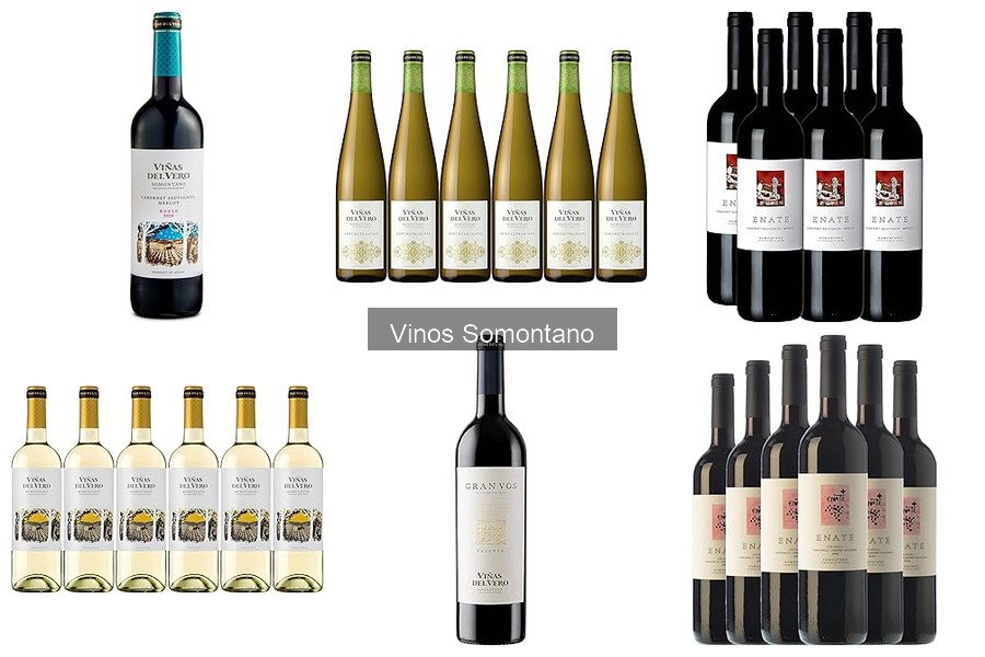Ventajas del Vino Somontano frente a Otros Vinos Españoles