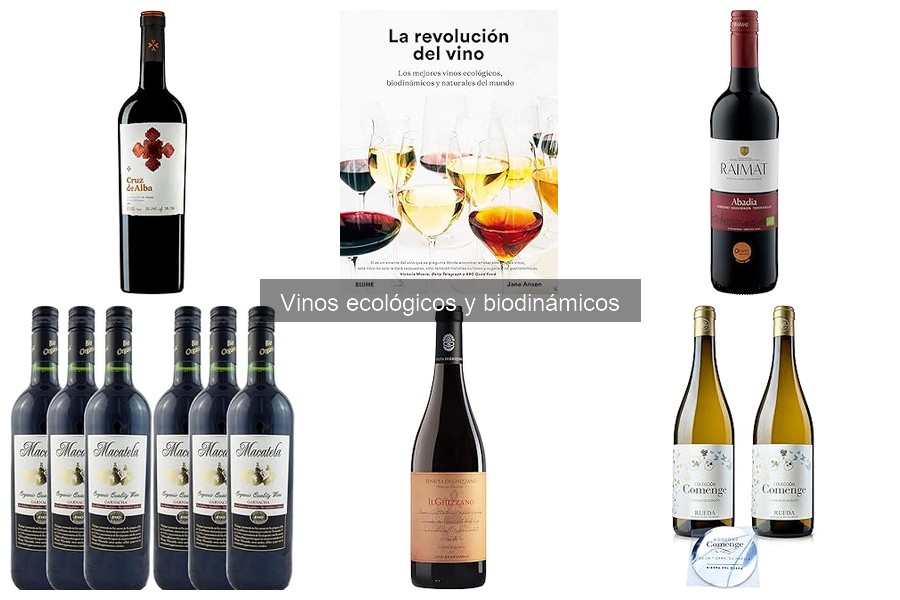 Ventajas y Desventajas de los Vinos Ecológicos