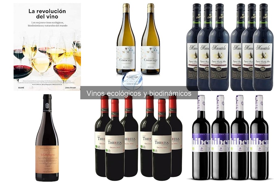 Vinos Ecológicos y Biodinámicos: ¿Qué Son y Cuáles Son Sus Beneficios?