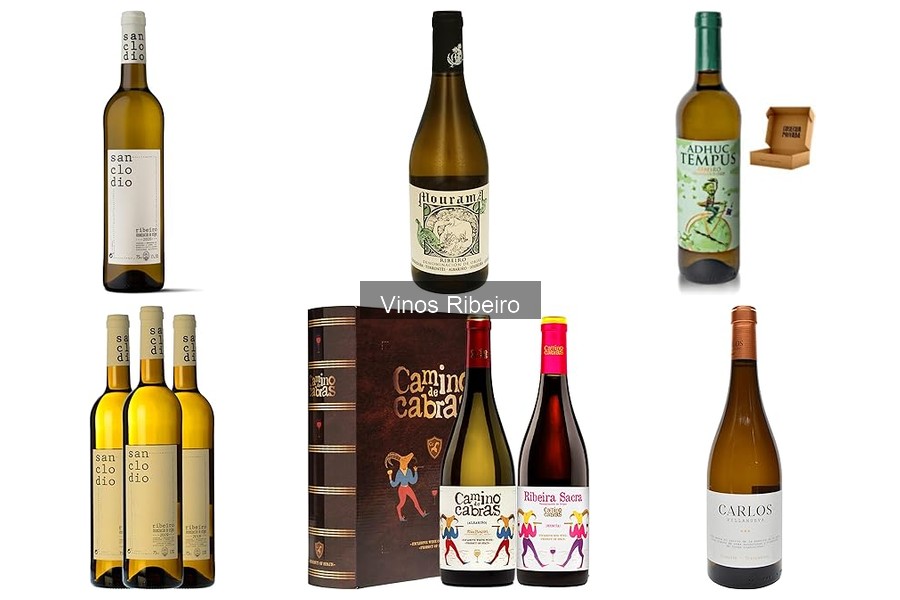 Vinos Ribeiro vs. Vinos de Otras Regiones: Comparativa