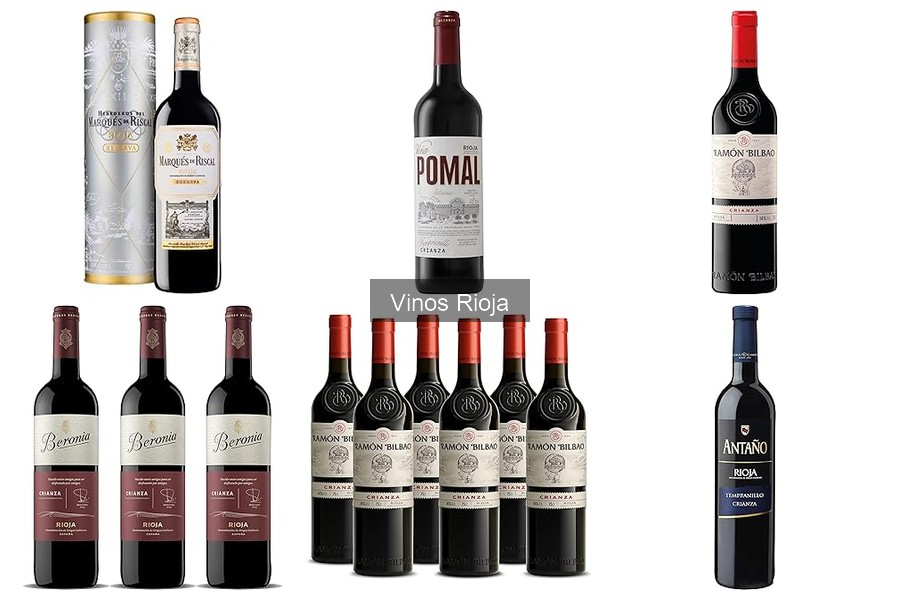 Vinos Rioja Más Valorados por los Expertos