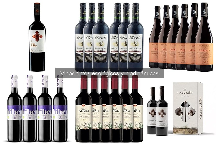 Vinos tintos ecológicos recomendados para principiantes