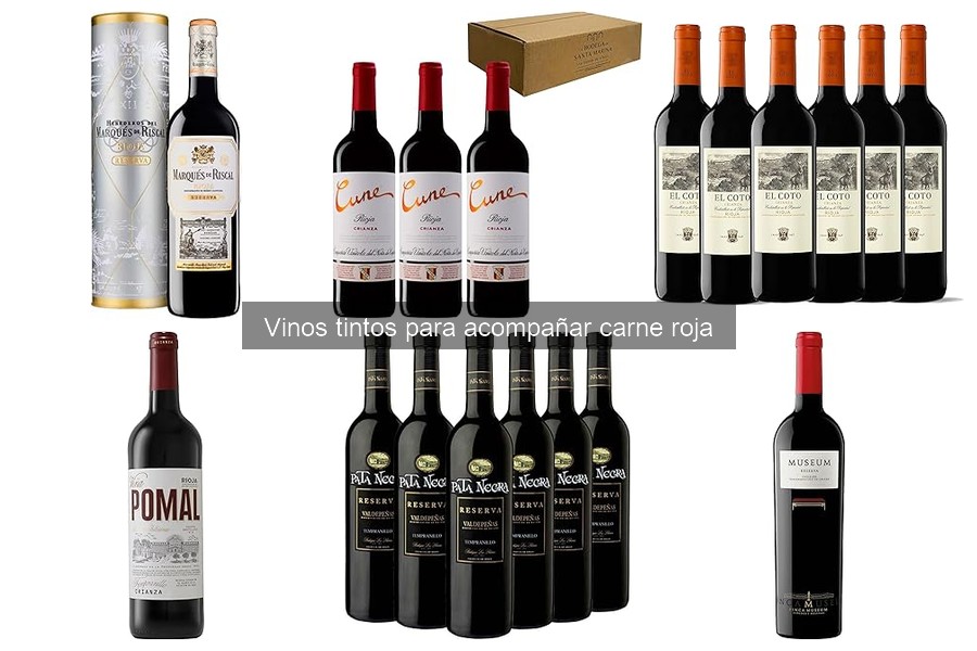 Vinos tintos ideales para carne roja: ¿qué profundidad de sabor elegir?