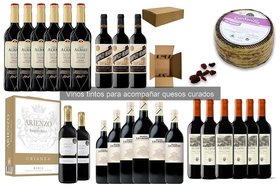 Vinos tintos ideales para quesos curados: guía de maridaje