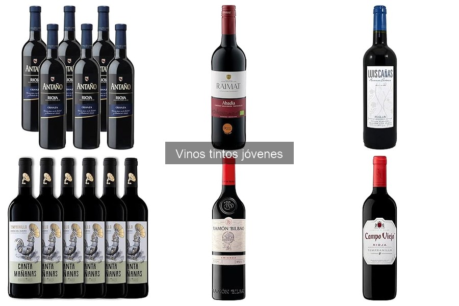 Vinos tintos jóvenes premiados en 2023: top selecciones