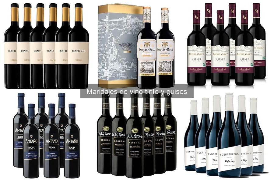 Vinos Tintos Perfectos para Maridar con Guisos