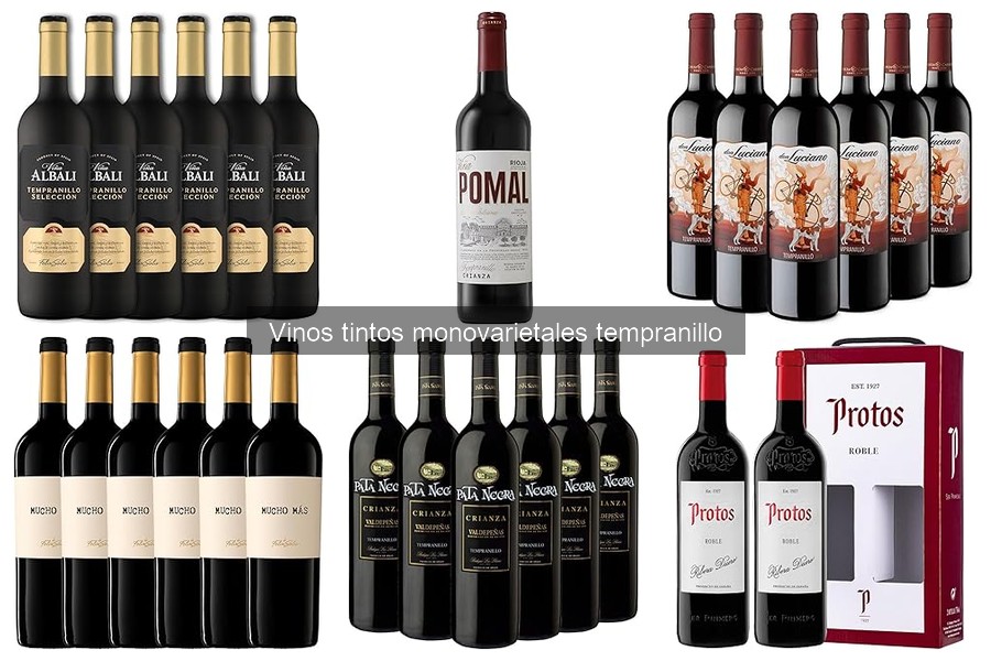Vinos Tintos Tempranillo Premiados en Concursos Internacionales